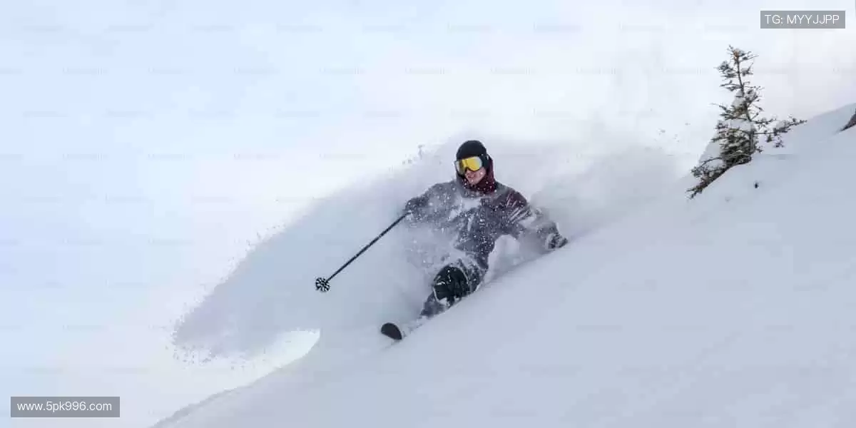 运动装备一站式，品质与颜值并存！🛒🔥